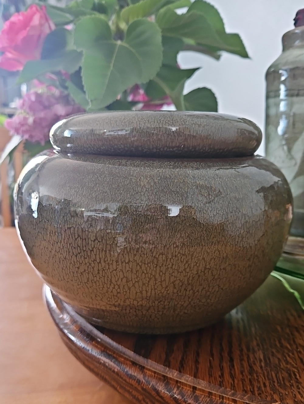 African Violet Self Watering Pot